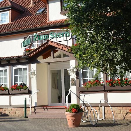 Parkhotel Zum Stern Oberaula Kültér fotó