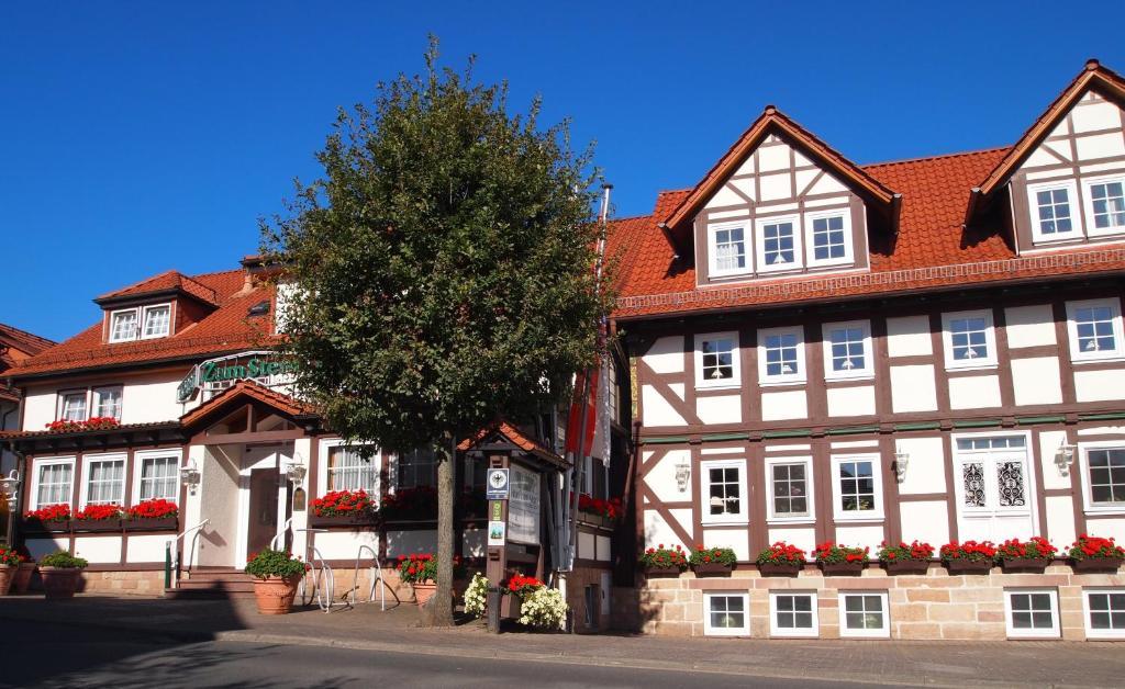 Parkhotel Zum Stern Oberaula Kültér fotó