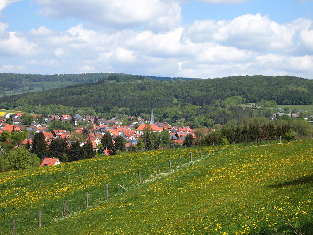 Parkhotel Zum Stern Oberaula Kültér fotó